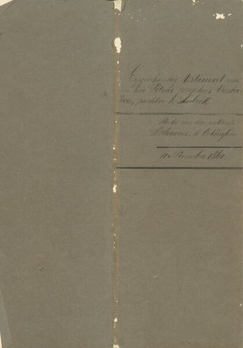 Kaft van 18611111 - Testament - Vanderperre