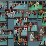20091113 - Sportacademie Karate Badminton 01