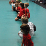 20091113 - Sportacademie Karate Badminton 112