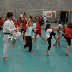20091113 - Sportacademie Karate Badminton 16