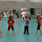 20091113 - Sportacademie Karate en Badminton
