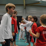 20091113 - Sportacademie Karate Badminton 68