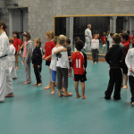 20091113 - Sportacademie Karate Badminton 94