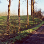 20020220 - Landschappen