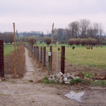 200311xx - Steenberg